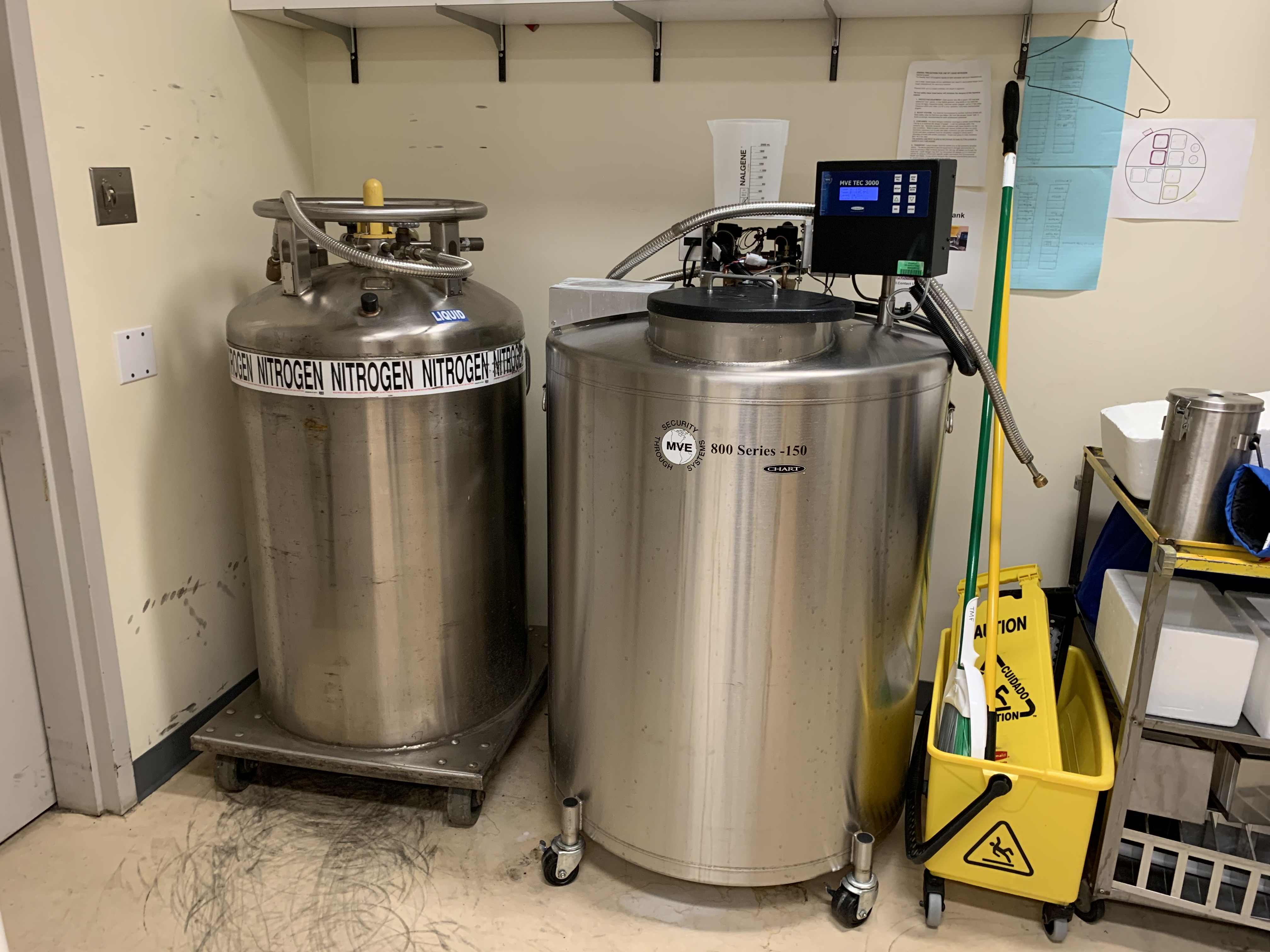 Liquid nitrogen cryopreservation system